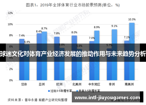 球迷文化对体育产业经济发展的推动作用与未来趋势分析